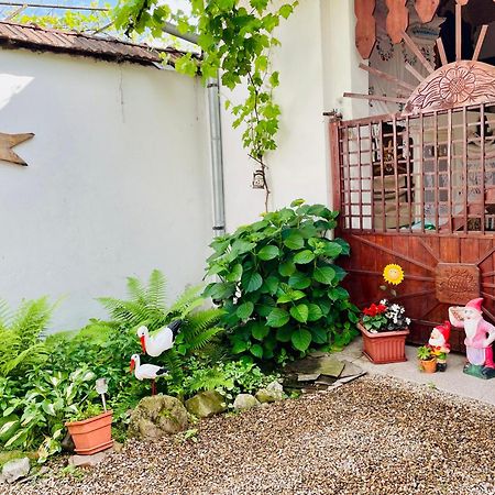 Bed and Breakfast Balla House Tărcaia Zewnętrze zdjęcie