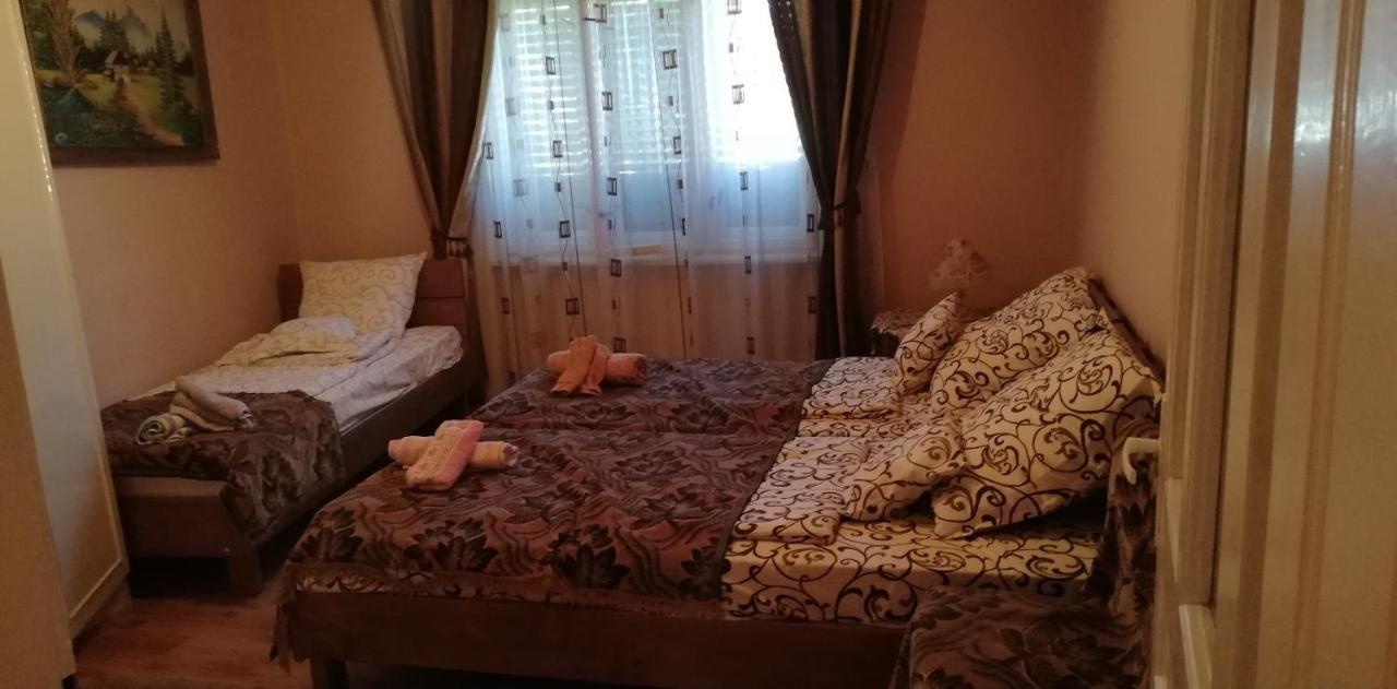 Bed and Breakfast Balla House Tărcaia Zewnętrze zdjęcie
