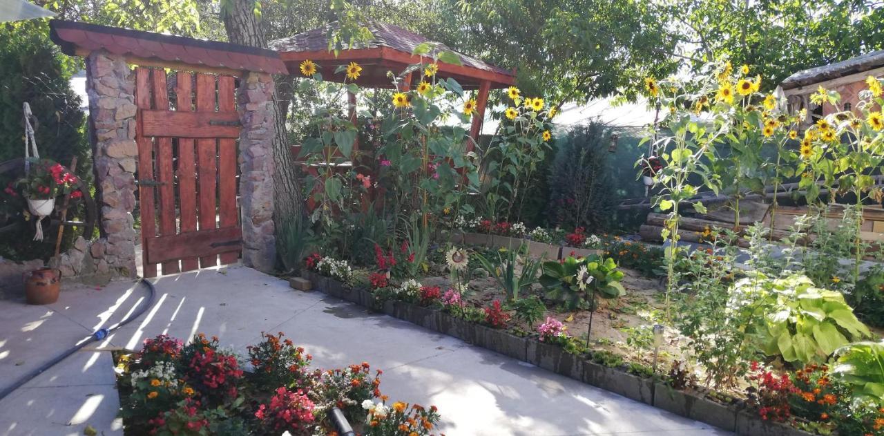 Bed and Breakfast Balla House Tărcaia Zewnętrze zdjęcie