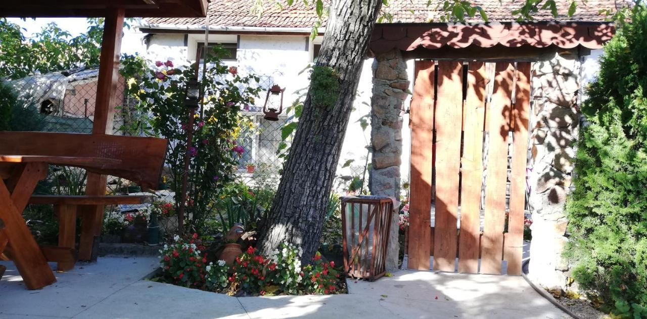 Bed and Breakfast Balla House Tărcaia Zewnętrze zdjęcie