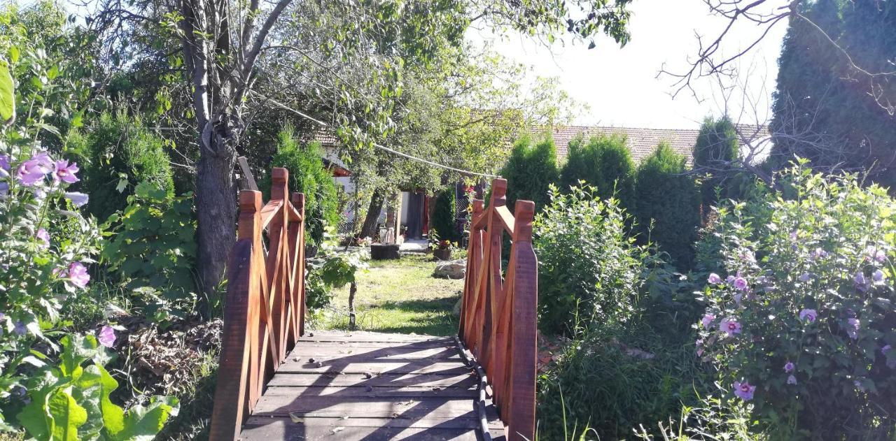 Bed and Breakfast Balla House Tărcaia Zewnętrze zdjęcie