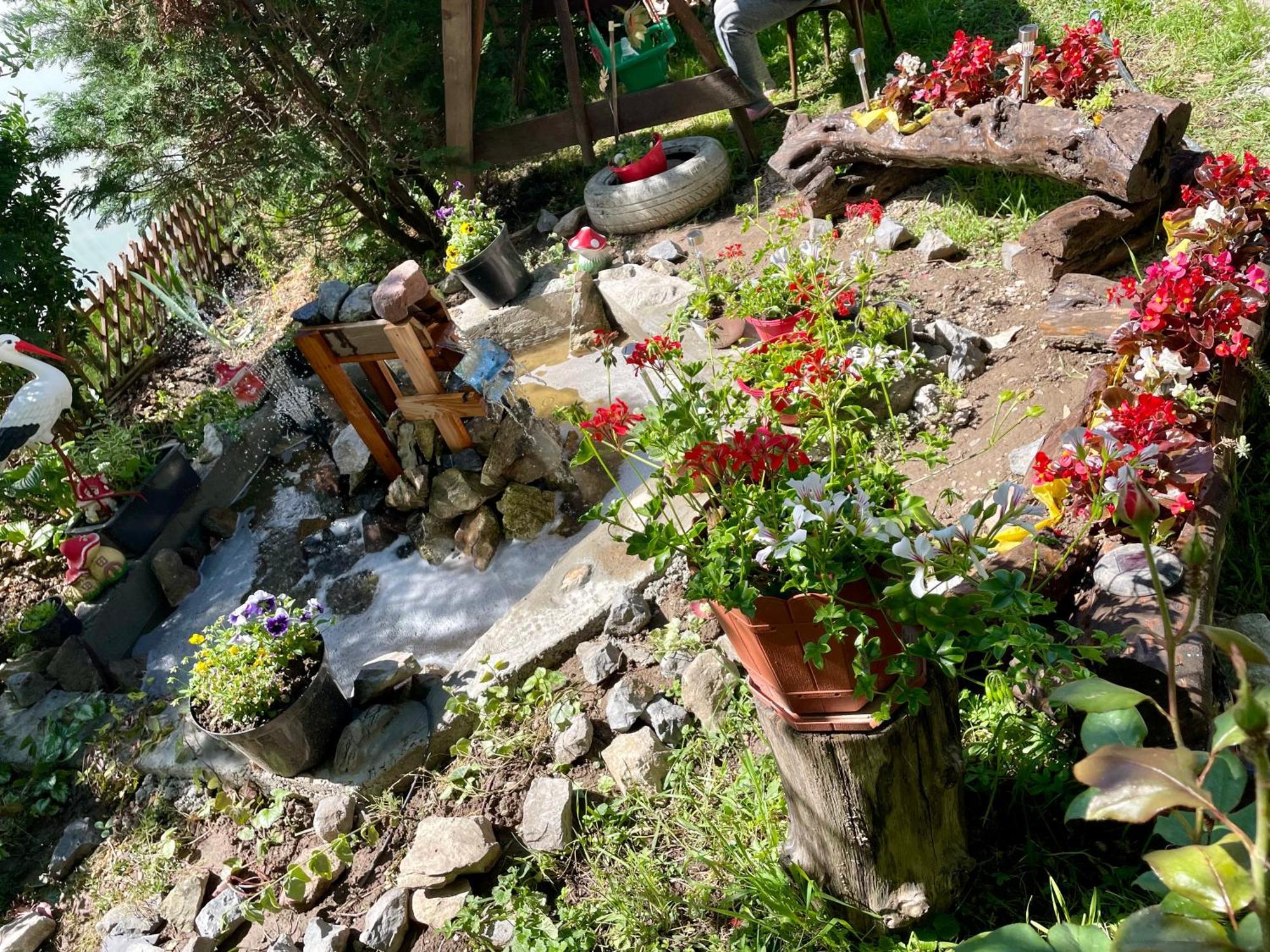 Bed and Breakfast Balla House Tărcaia Zewnętrze zdjęcie