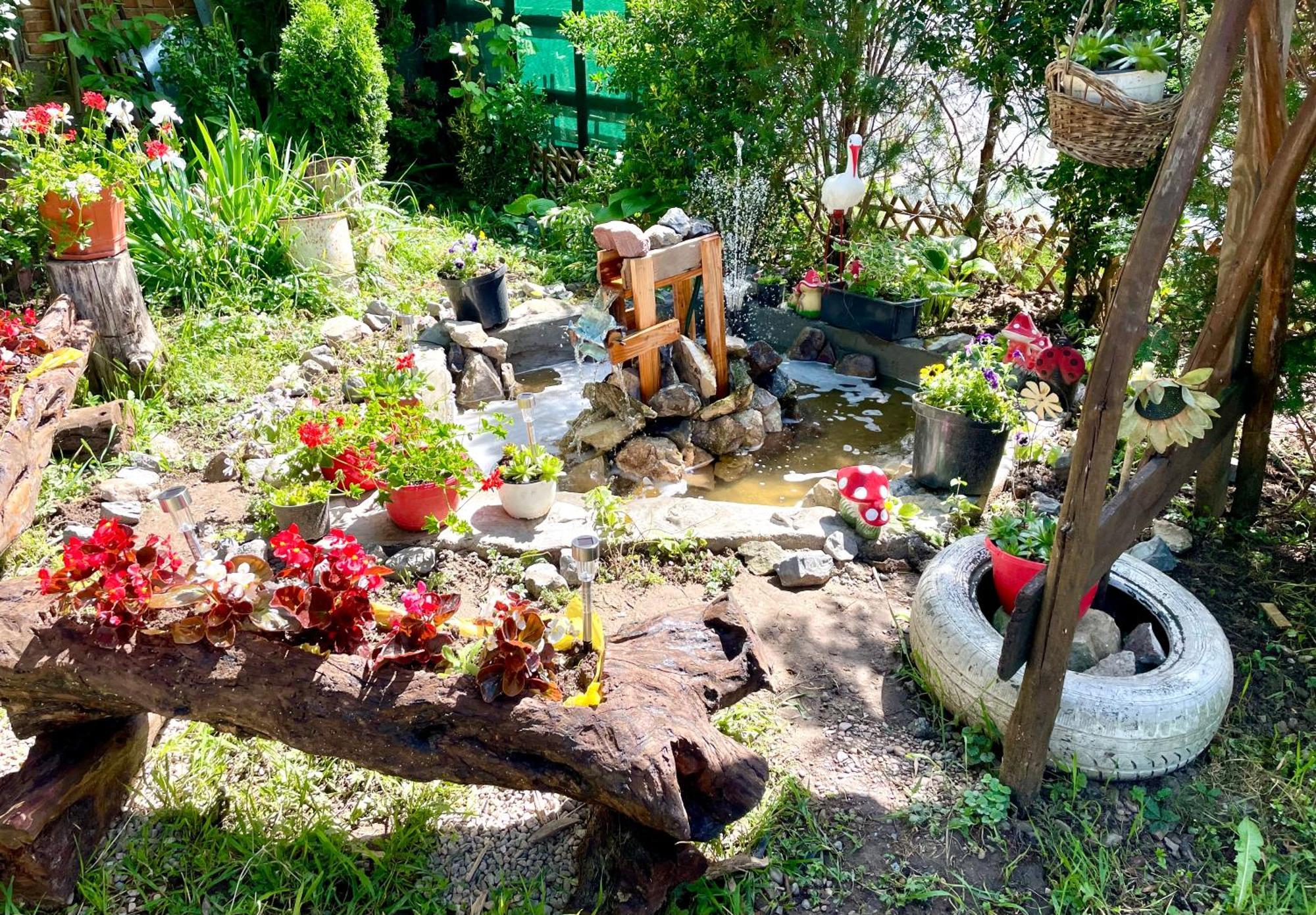 Bed and Breakfast Balla House Tărcaia Zewnętrze zdjęcie