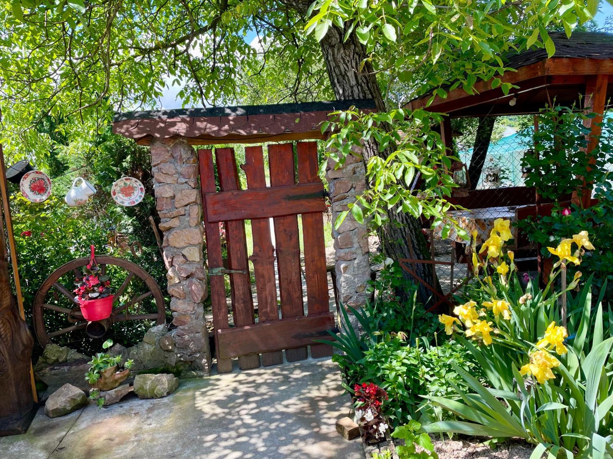 Bed and Breakfast Balla House Tărcaia Zewnętrze zdjęcie