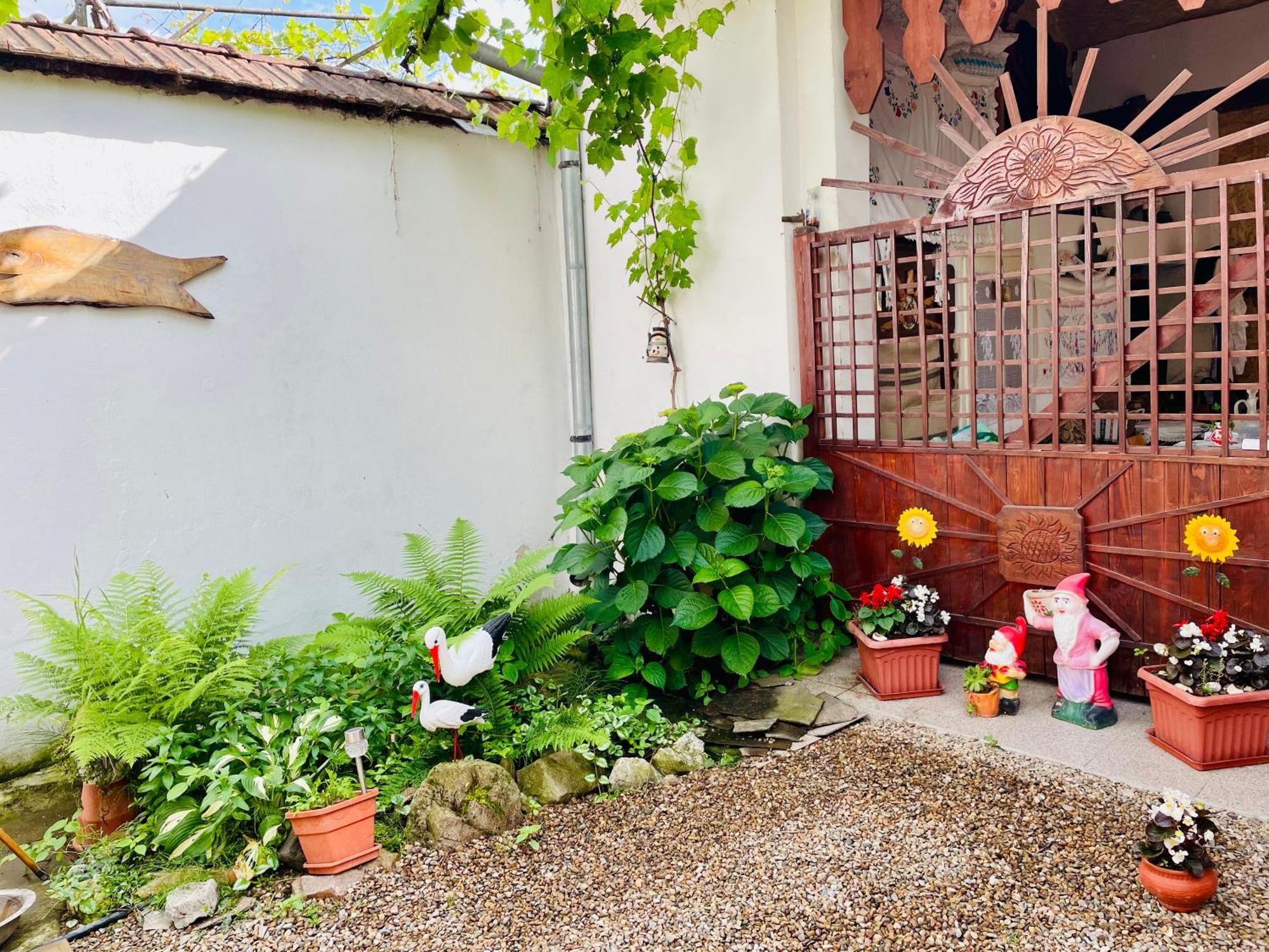 Bed and Breakfast Balla House Tărcaia Zewnętrze zdjęcie