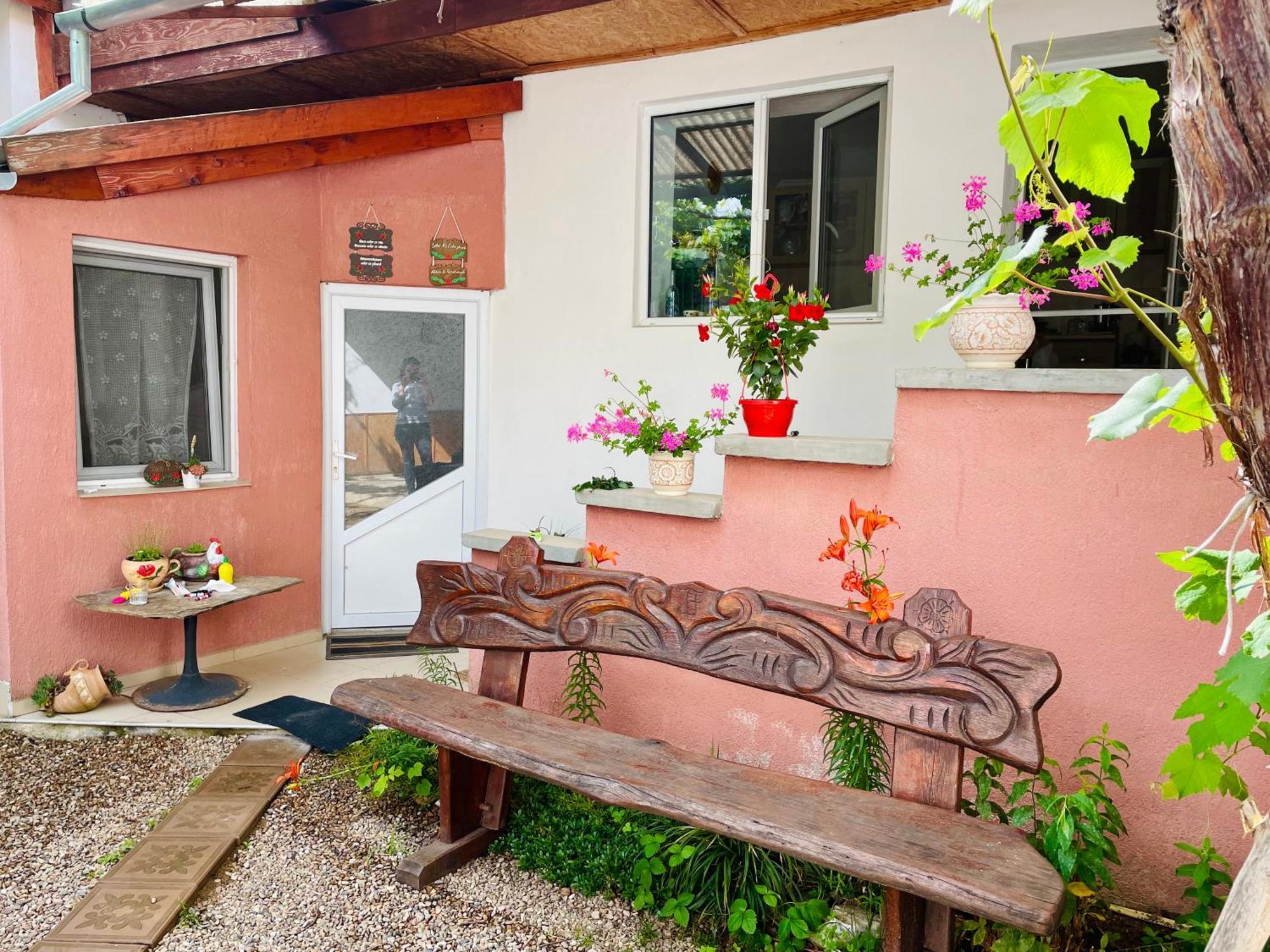 Bed and Breakfast Balla House Tărcaia Zewnętrze zdjęcie