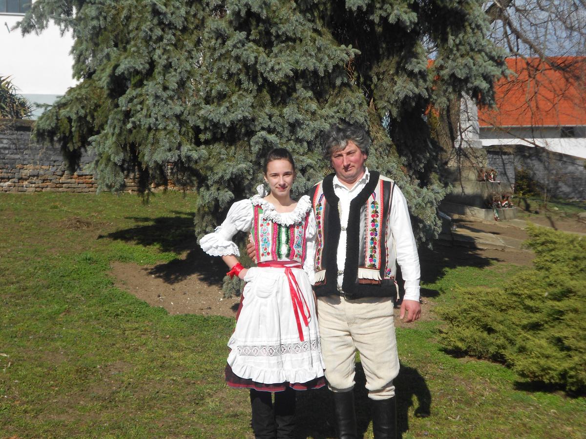 Bed and Breakfast Balla House Tărcaia Zewnętrze zdjęcie